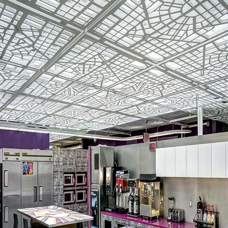 Ceiling Grid